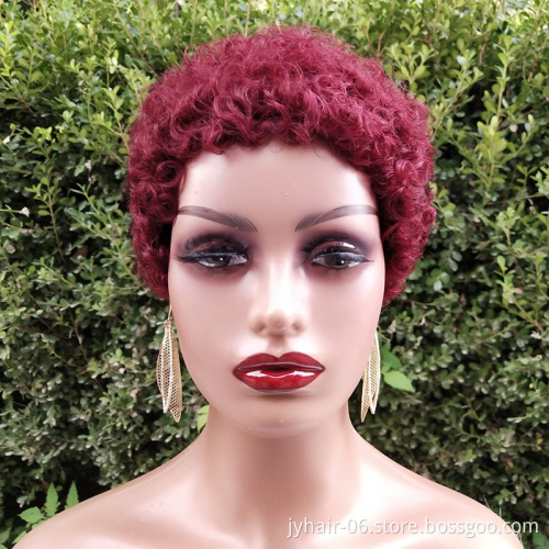 Short Afro Curly Human Hair Wigs for Black Women Short Hairstyles Pixie Cut Wigs with Thin Hair Black Non Lace Hair Wigs